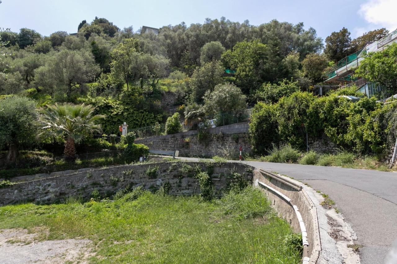 Strada Degli Olandesi - Panoramic Villa By Halldis Camporosso  Bagian luar foto